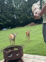 IMG_0112.jpeg