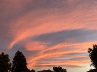 IMG_9245.jpeg