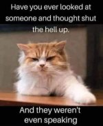 IMG_2539.jpeg