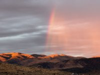 IMG_1105.jpeg