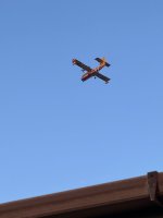 IMG_2186.jpeg