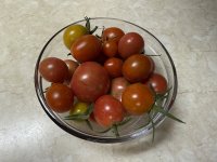 IMG_3033.jpeg