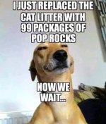1000009864.jpg