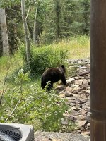 IMG_2210.jpeg