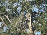 IMG_3937.jpeg