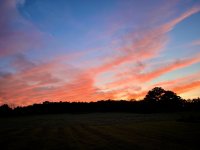 IMG_0456.jpeg