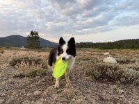 IMG_3081.jpeg