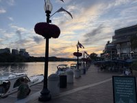 IMG_3726.jpeg