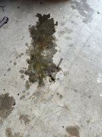 IMG_1576.jpeg