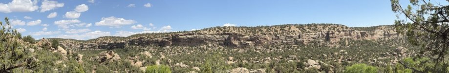 IMG_0962.jpeg