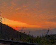 IMG_3037.jpeg