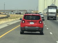 IMG_9239.jpeg