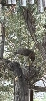 IMG_4823.jpeg