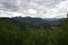 DSC_4954.JPG DSC_4954.JPG