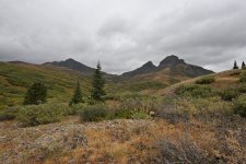 DSC_4985.JPG DSC_4985.JPG