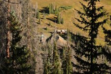 DSC_5046.JPG