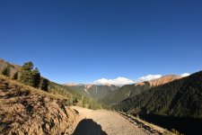 DSC_5137.JPG
