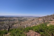 DSC_5164.JPG