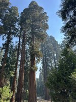 IMG_0462.jpeg