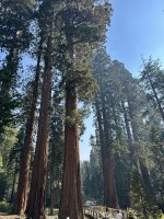 IMG_0465.jpeg