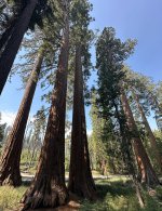 IMG_0472.jpeg