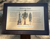 IMG_0476.jpeg