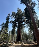 IMG_0479.jpeg