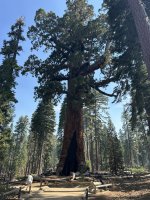 IMG_0480.jpeg