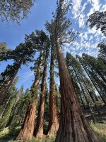 IMG_0495.jpeg