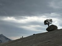 IMG_0581.jpeg