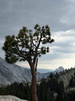 IMG_0580.jpeg