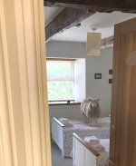 IMG_1014.jpeg