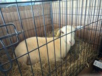 IMG_0428.jpeg