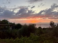 IMG_1058.jpeg