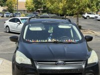 IMG_9240.jpeg