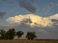 IMG_4511.jpeg