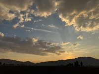 IMG_4512.jpeg