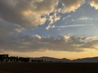 IMG_4513.jpeg
