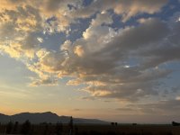 IMG_4516.jpeg