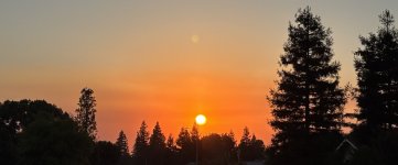 IMG_2707.jpeg