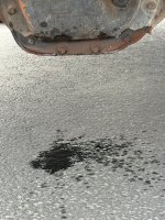 IMG_1017.jpeg