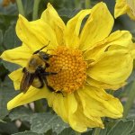 IMG_4530.jpeg