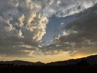 IMG_4537.jpeg