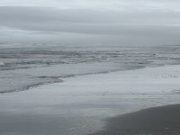 IMG_0756.jpeg