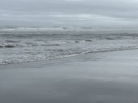 IMG_0755.jpeg
