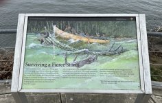 IMG_0770.jpeg