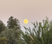 IMG_2746.jpeg
