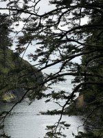 IMG_0776.jpeg