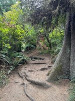 IMG_0774.jpeg