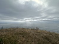 IMG_0784.jpeg